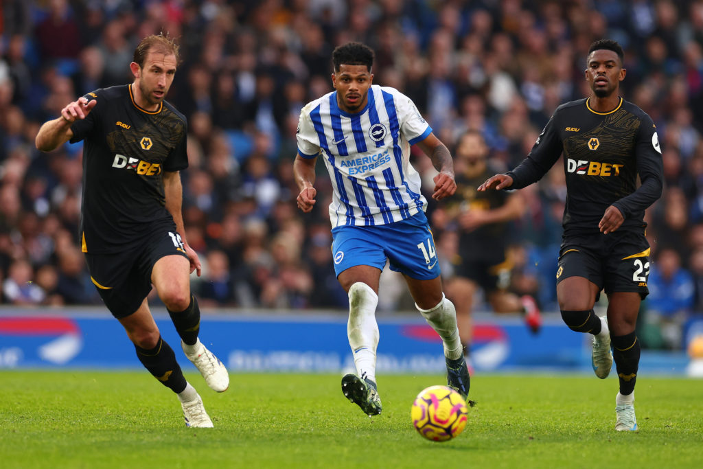 Brighton & Hove Albion FC v Wolverhampton Wanderers FC - Premier League