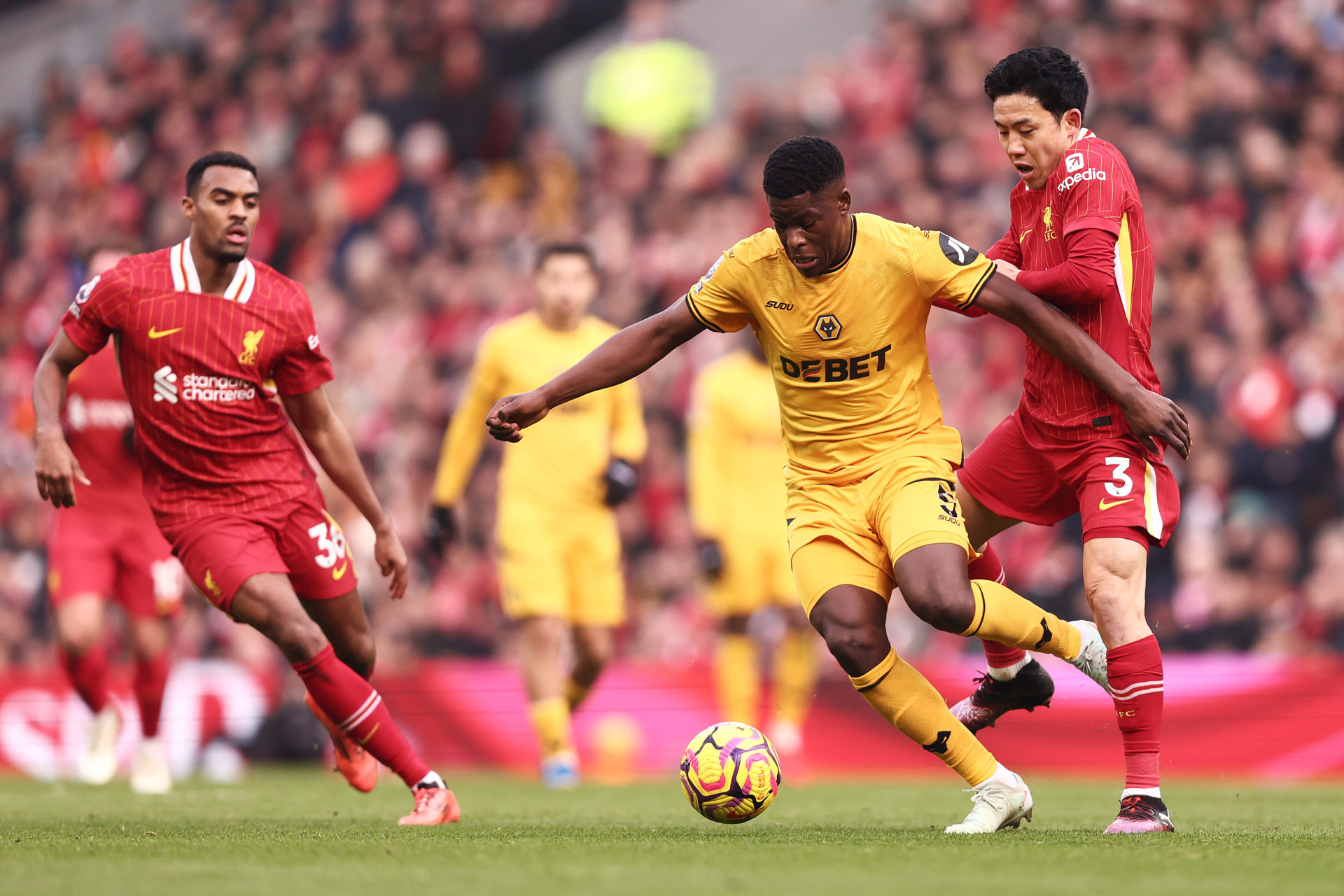 'Amazing to see': Dave Edwards thinks new Wolves signing is good enough ...