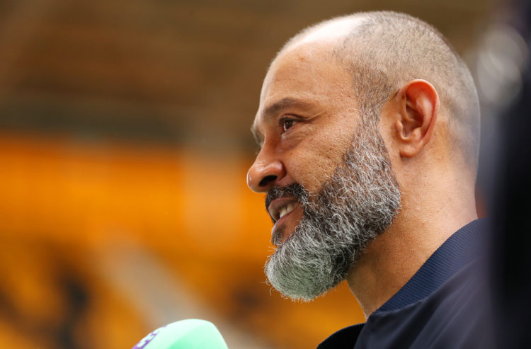 Photo by Jack Thomas - WWFC/Wolves via Getty Images