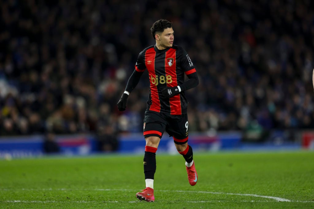 Brighton & Hove Albion FC v AFC Bournemouth - Premier League