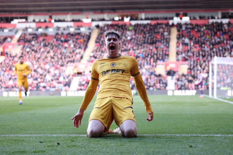 Photo by Jack Thomas - WWFC/Wolves via Getty Images