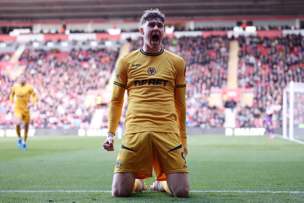 Southampton FC v Wolverhampton Wanderers FC - Premier League