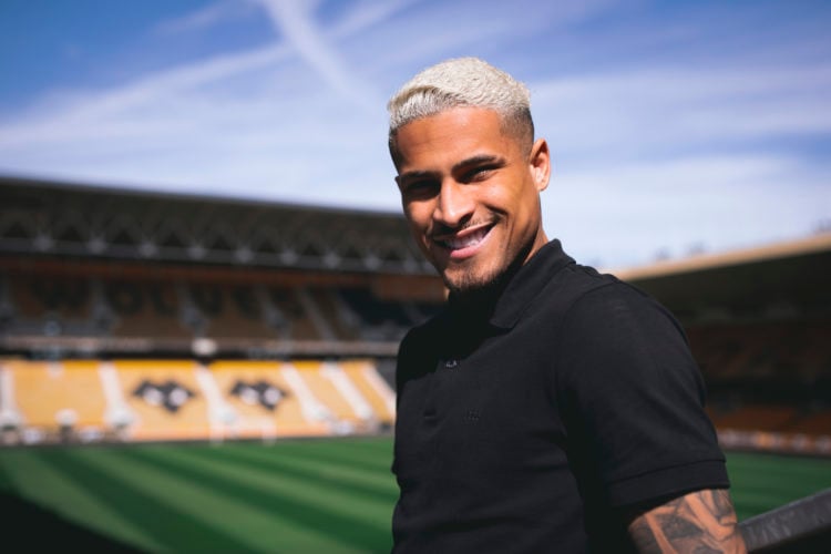 Photo by Jack Thomas - WWFC/Wolves via Getty Images