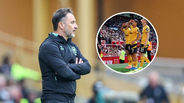 An image of Vitor Pereira with insets of Wolves players
