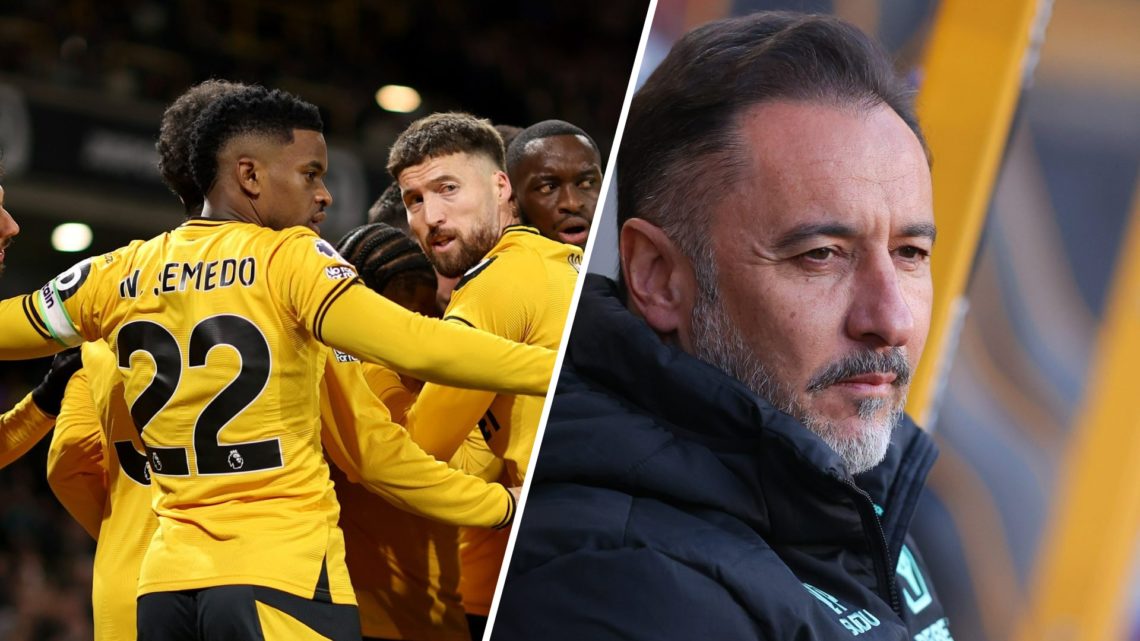 Wolves players celebrate (left), manager Vitor Pereira looks on at Molineux (right)