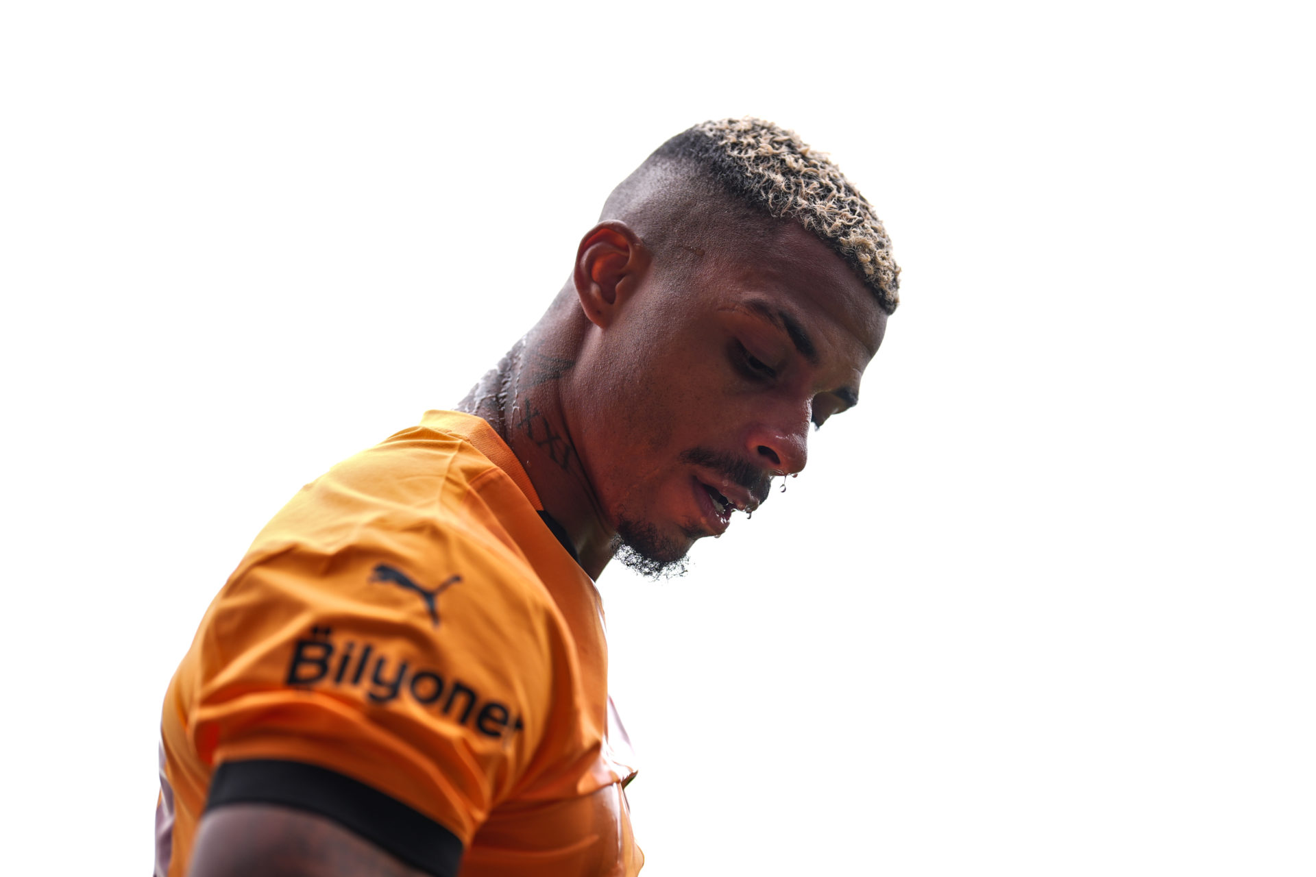 www.molineux.news