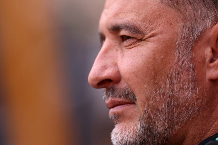 Photo by Jack Thomas - WWFC/Wolves via Getty Images