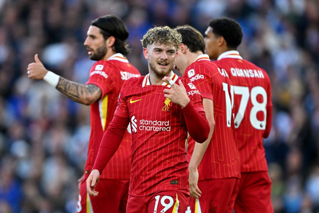 Brighton & Hove Albion FC v Liverpool FC - Premier League