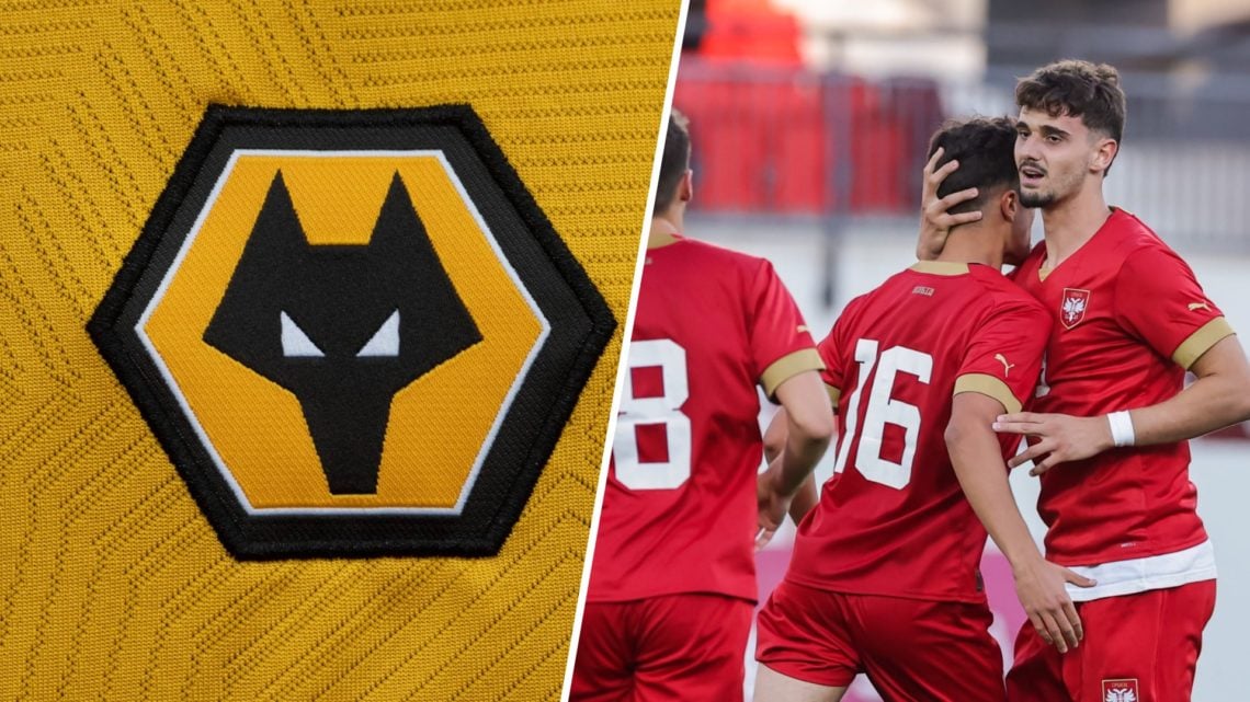 An image of the Wolves badge with an inset of Mihailo Ivanovic