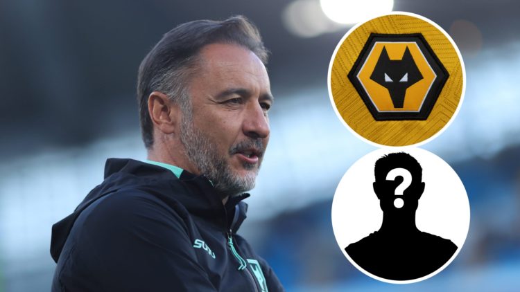 An image of Wolves boss Vitor Pereira with the mystery player inset and Wolves badge