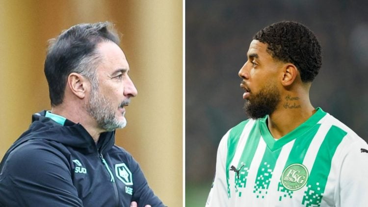 Wolves manager Vitor Pereira looks on (left), St. Gallen striker Willem Geubbels (right)
