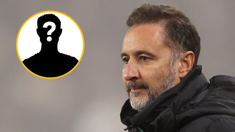 Wolves manager Vitor Pereira looks on (right), mystery player (inset)