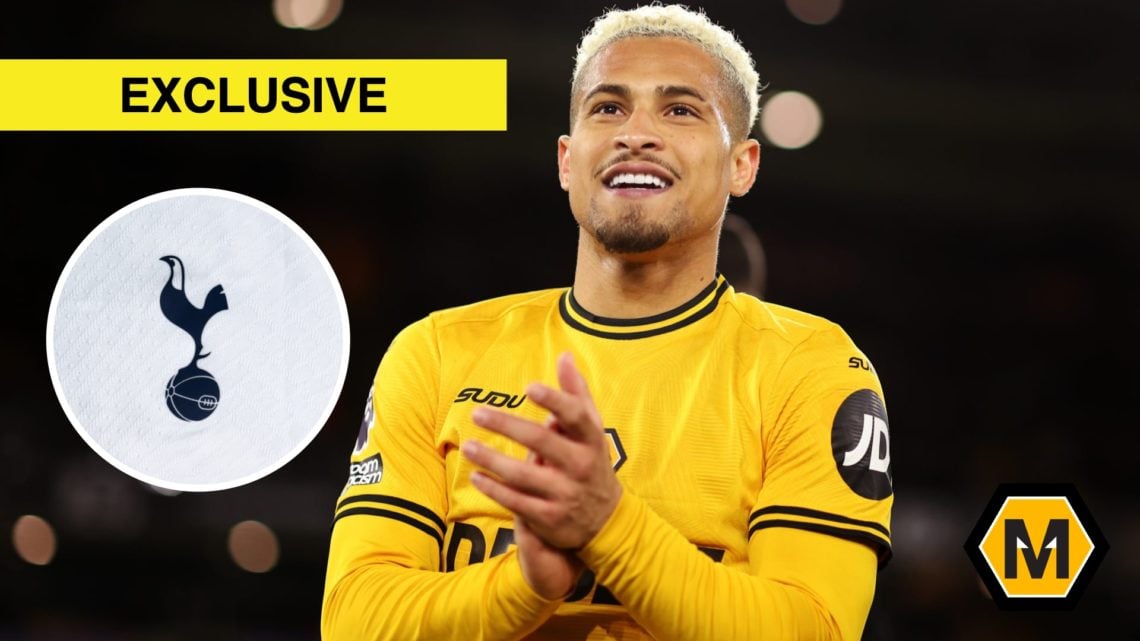 An image of Joao Gomes with the exclusive banner, Tottenham badge and Molineux News banner