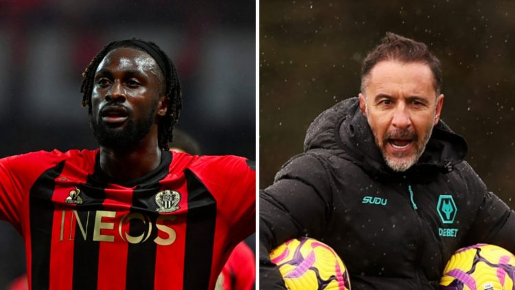 Evann Guessand playing for Nice (left), Vitor Pereira in Wolves training (right)