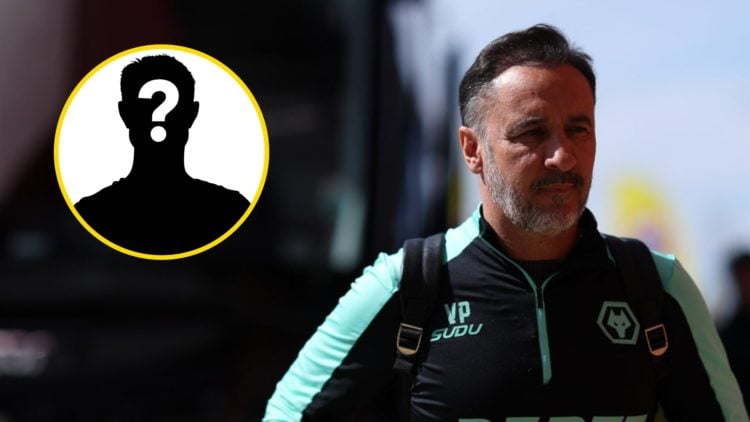 Vitor Pereira steps off the Wolves coach (right), mystery player (inset)