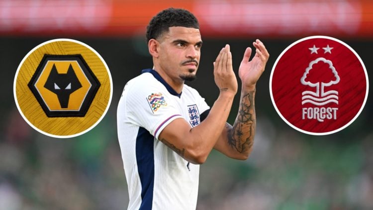 An image of Morgan Gibbs-White clapping with insets of the Nottingham Forest badge and Wolves badge