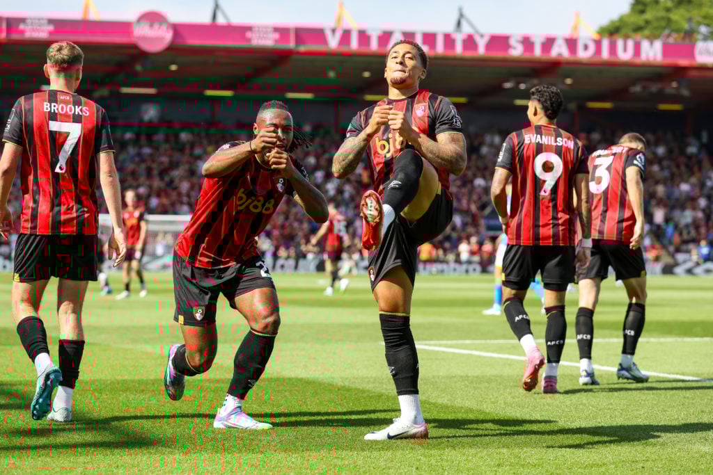 Bournemouth v Wolverhampton Wanderers - Premier League
