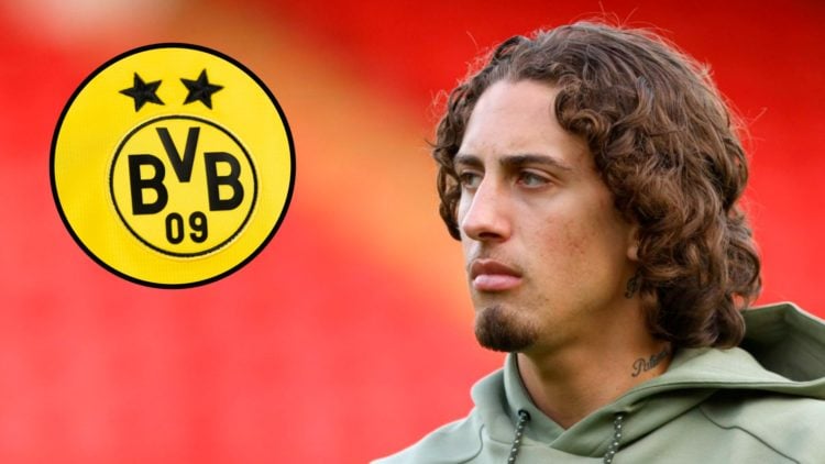 Wolves striker Fabio Silva looks on (right), Borussia Dortmund badge (inset)