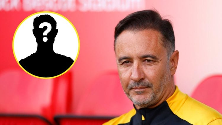 Wolves manager Vitor Pereira looks on (right), mystery player (inset)