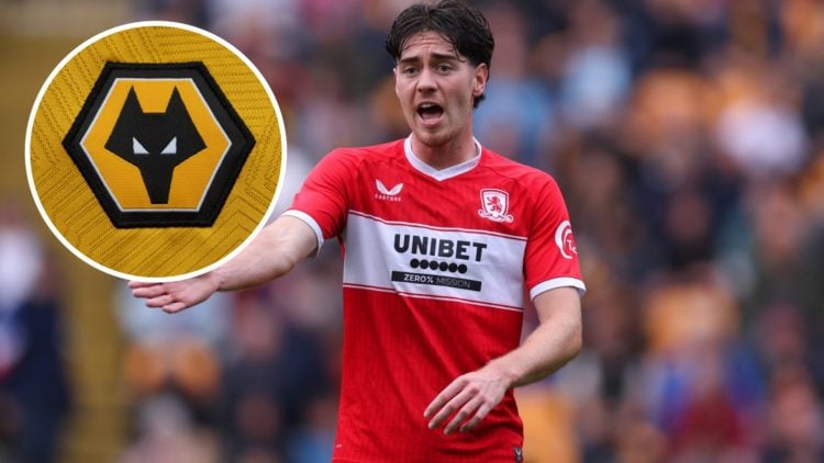 Main: Hayden Hackney in action for Middlesbrough Overlay: Wolves badge