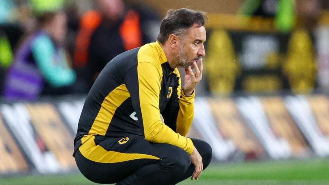 Main: Vitor Pereira on the sideline watching Wolves in action