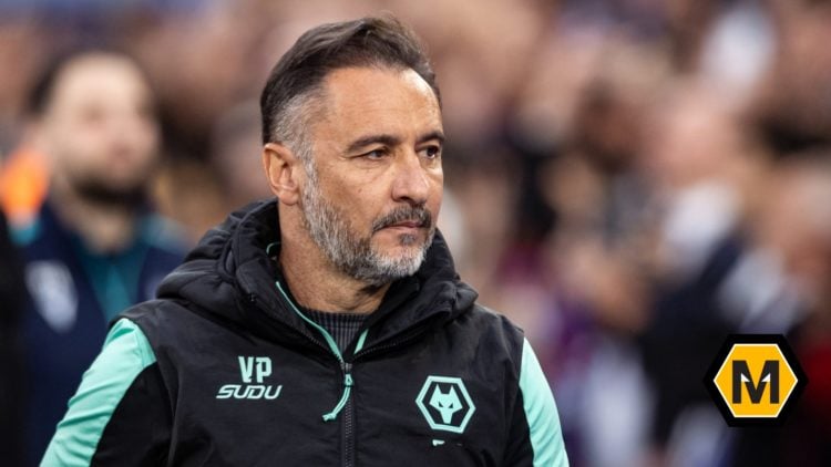 An image of Wolves manager Vitor Pereira with website logo inset into bottom right corner.