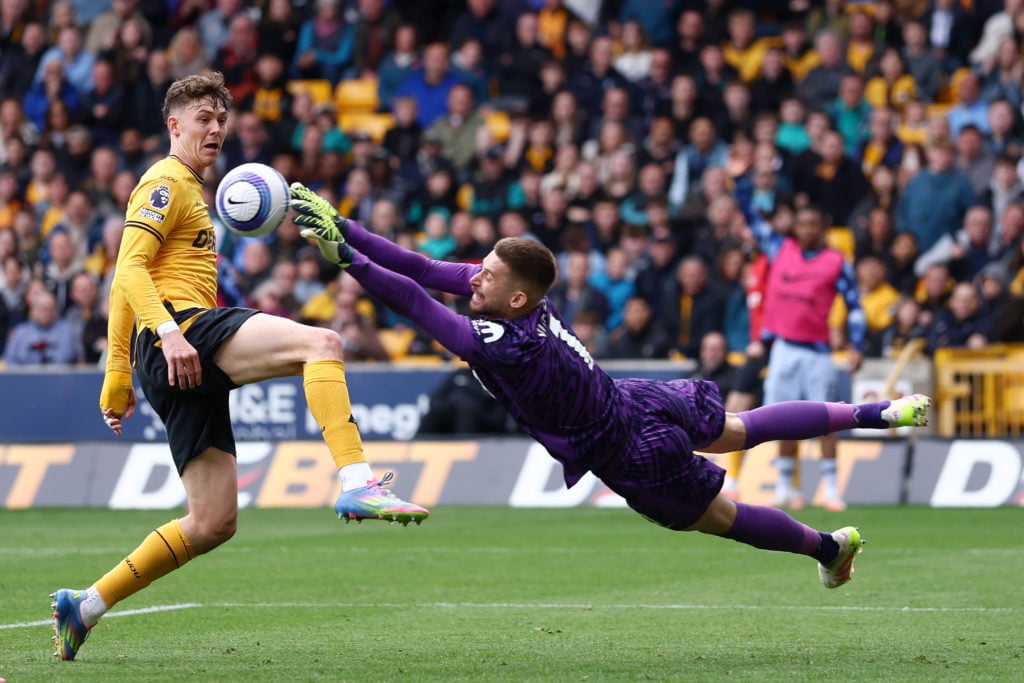 Wolverhampton Wanderers FC v Tottenham Hotspur FC - Premier League