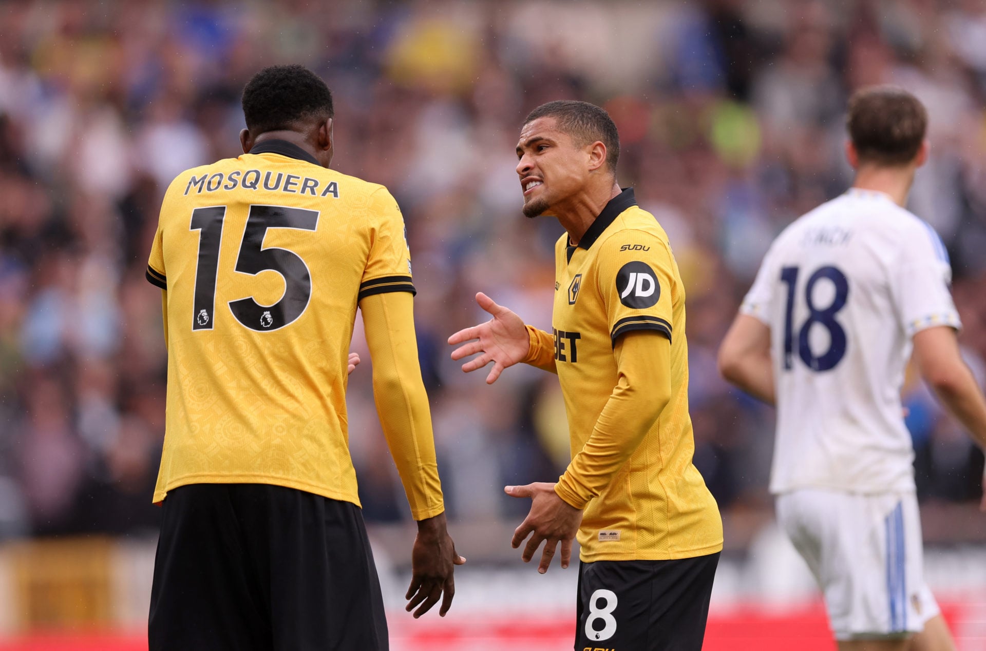 Wolves Gomez Joao Gomes sends rallying cry to Wolves fans after five Premier League ...