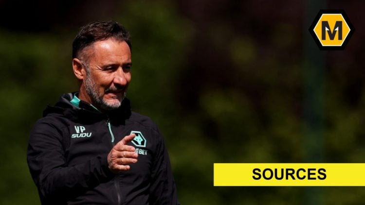Vitor Pereira points in Wolves training (left), sources banner (bottom right), Molineux News logo (top right)