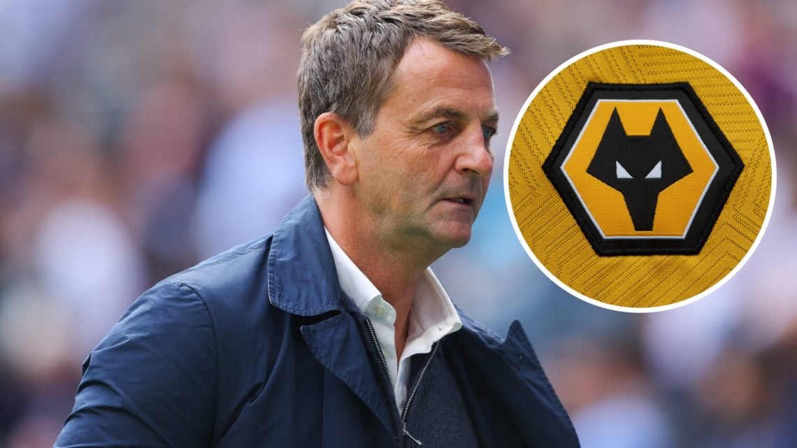 Main: Tim Sherwood working as a pundit Overlay: Wolves crest