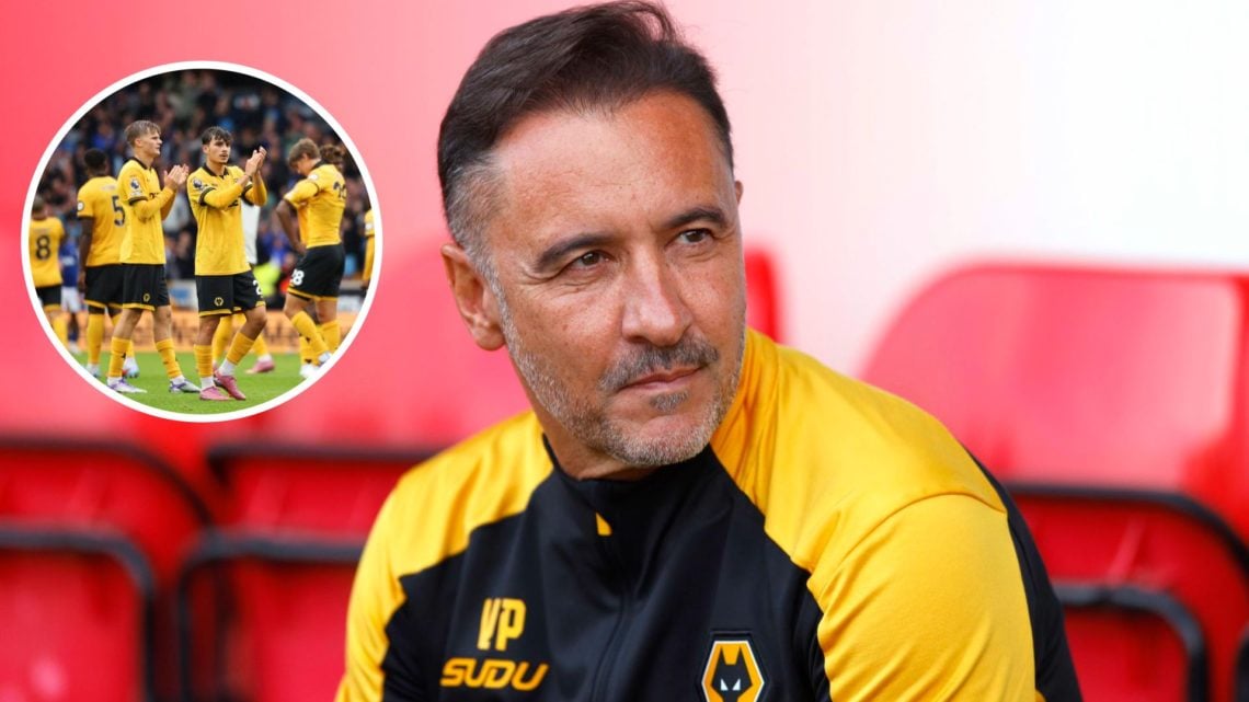 Vitor Pereira and Wolves players.