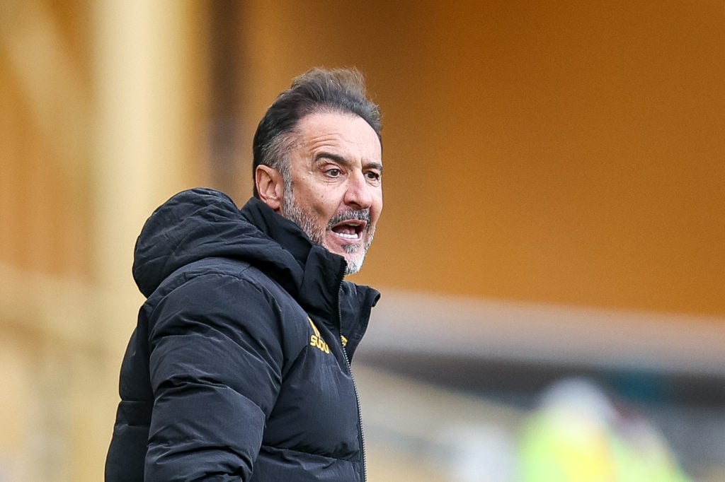 Vitor Pereira shouts at his team during Wolves vs Brighton