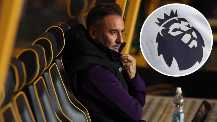 Main: Vitor Pereira looks on from the dugout as Wolves play Overlay: Premier League logo