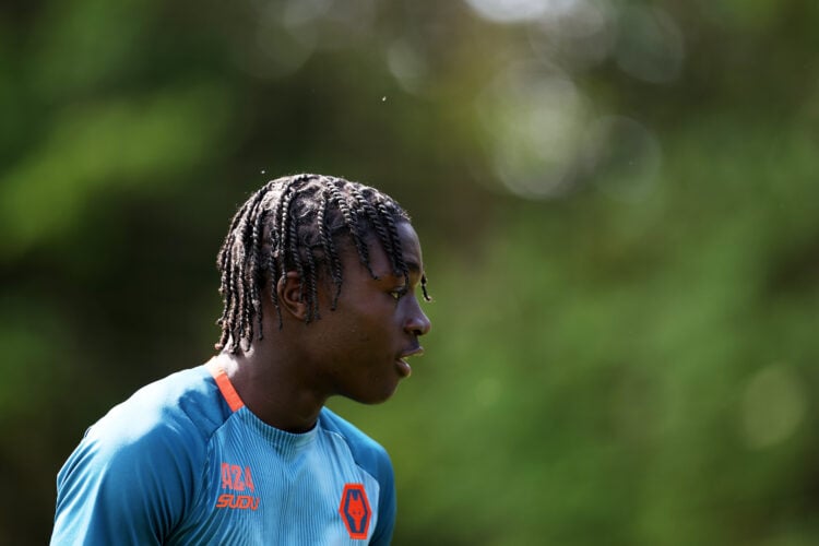 Photo by Jack Thomas - WWFC/Wolves via Getty Images