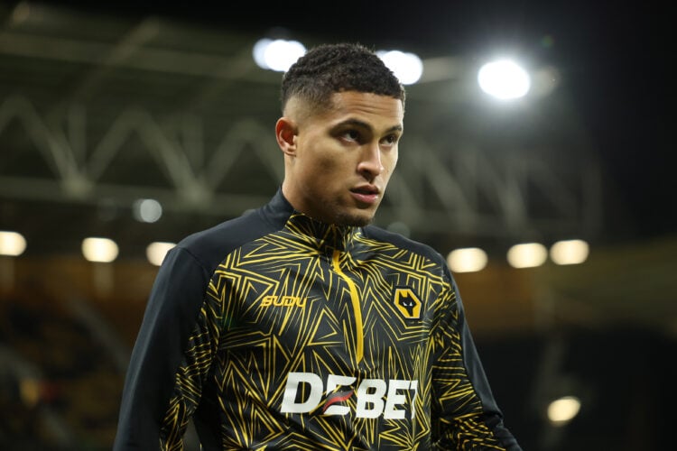 Photo by Brett Patzke - WWFC/Wolves via Getty Images