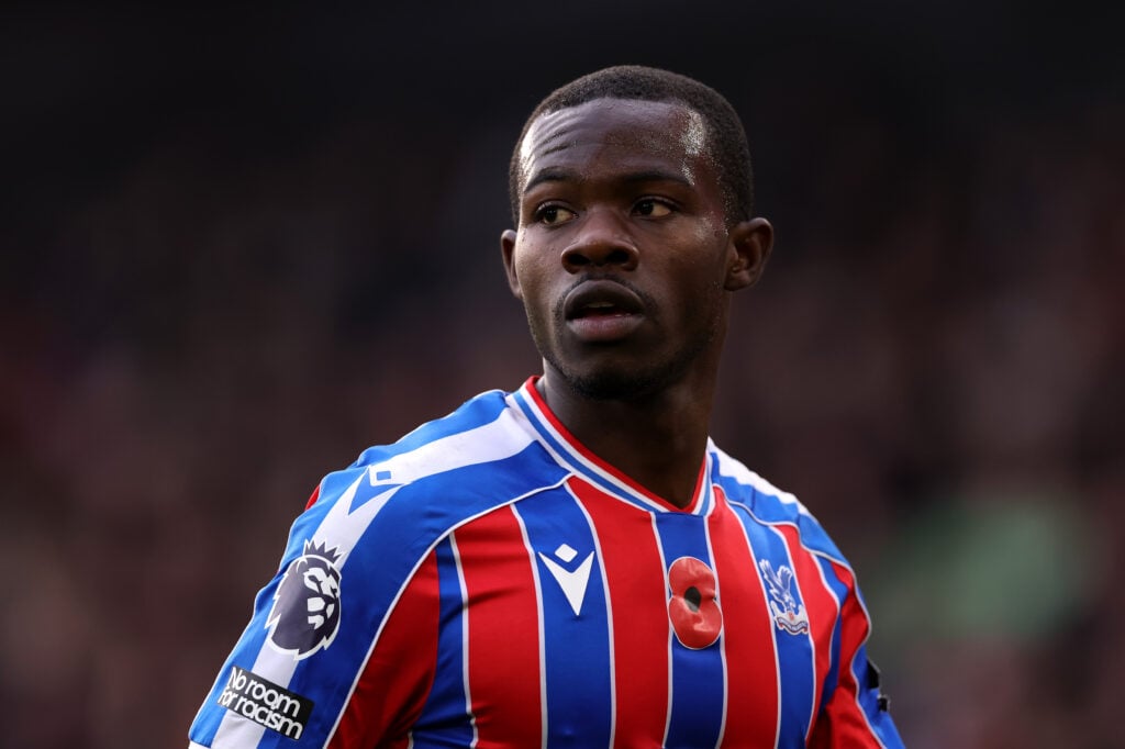 Crystal Palace v Brighton & Hove Albion - Premier League