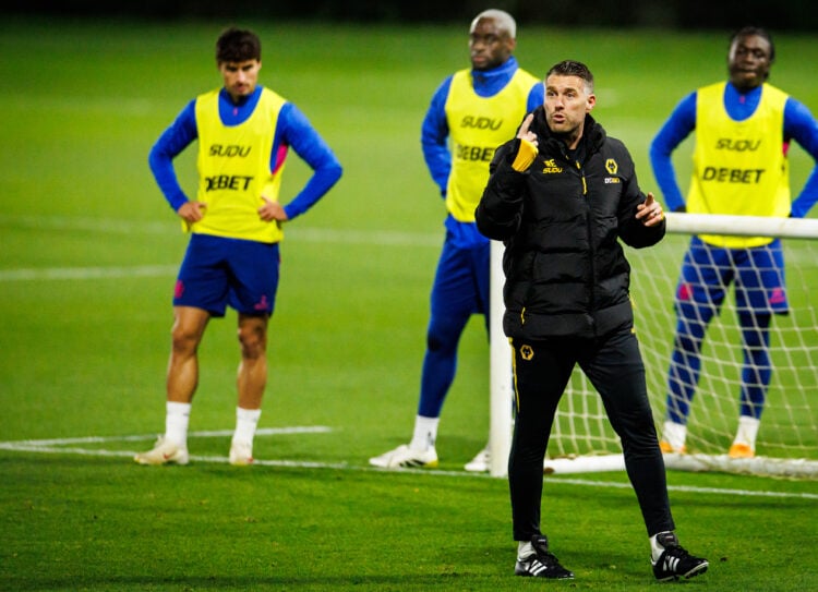 Photo by Brett Patzke - WWFC/Wolves via Getty Images