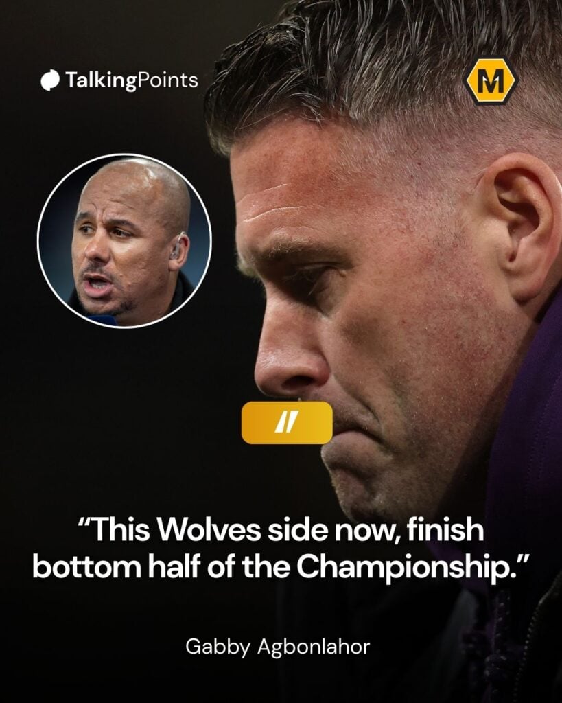 Gabby Agbonlahor delivers assessment on Wolves squad