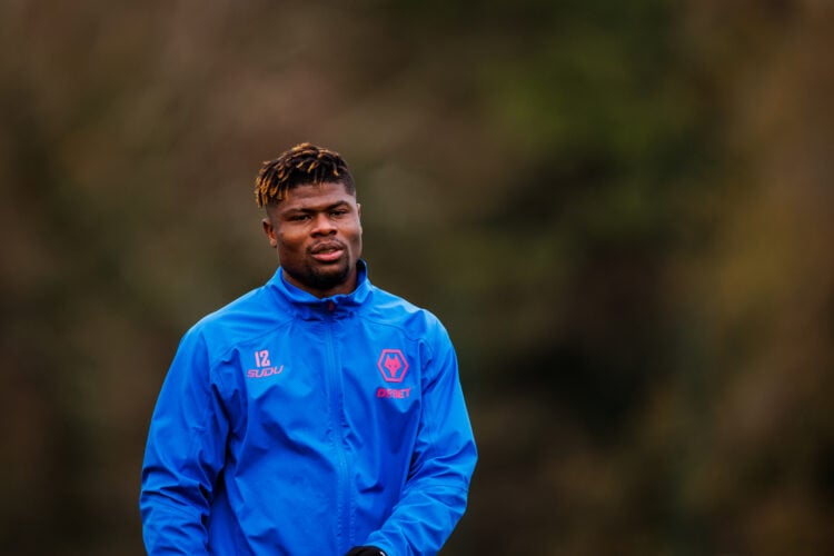 Photo by Brett Patzke - WWFC/Wolves via Getty Images