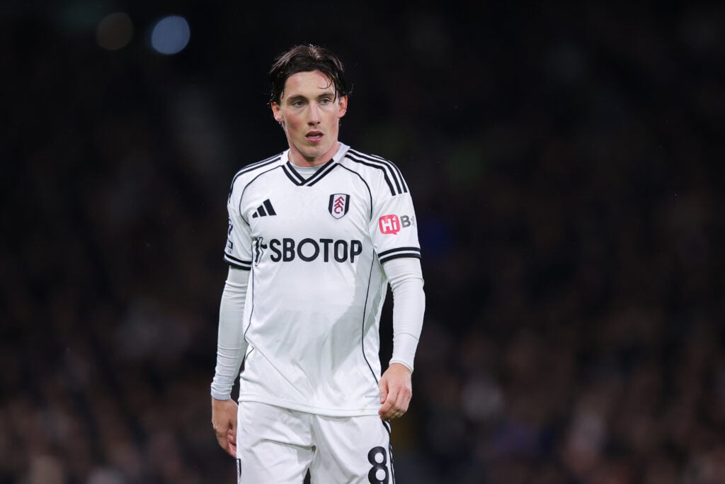 Harry Wilson in action for Fulham.
