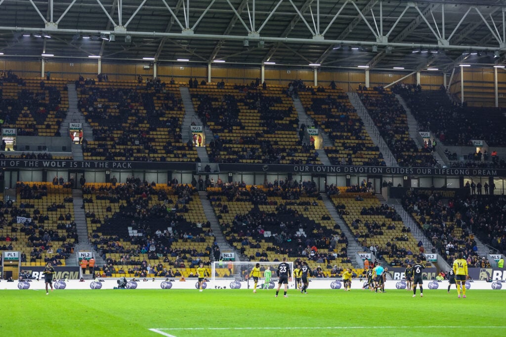 Fans watch on at Molineux.