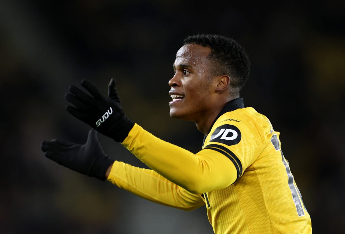 Photo by Brett Patzke - WWFC/Wolves via Getty Images