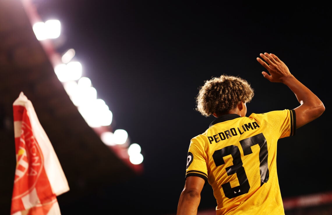 Photo by Jack Thomas - WWFC/Wolves via Getty Images