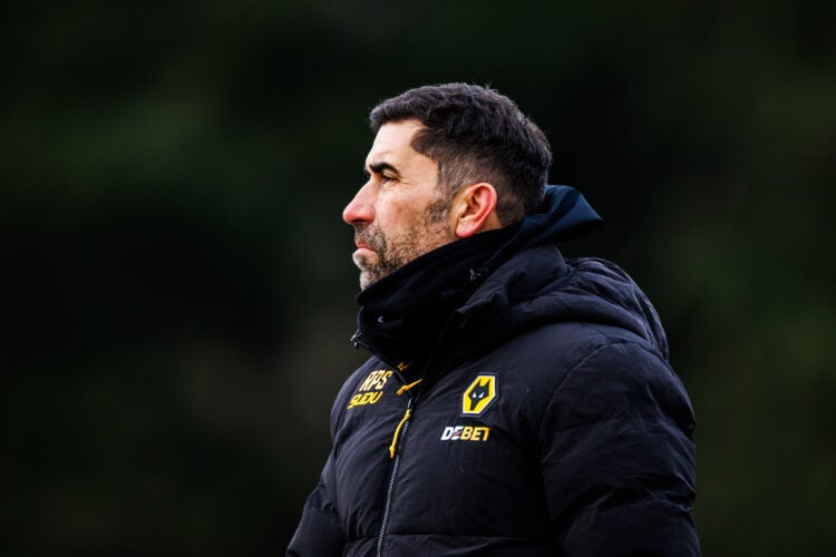 Photo by Brett Patzke - WWFC/Wolves via Getty Images