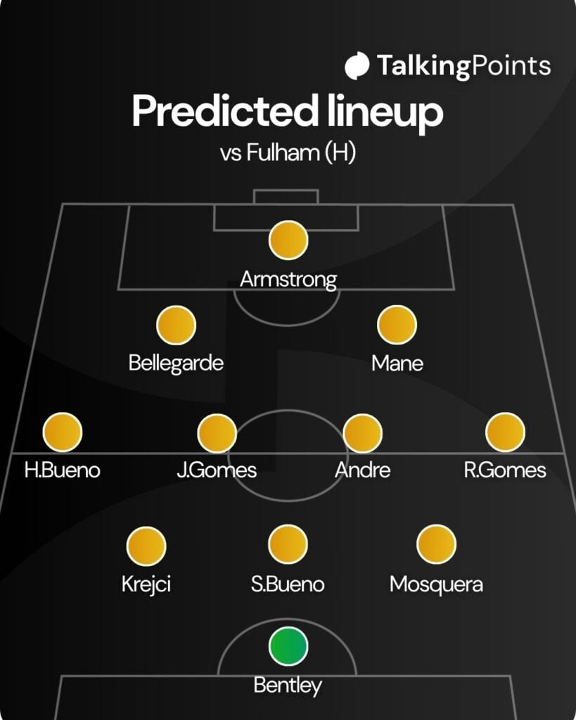 A custom graphic showing a predicted Wolves XI to face Fulham.