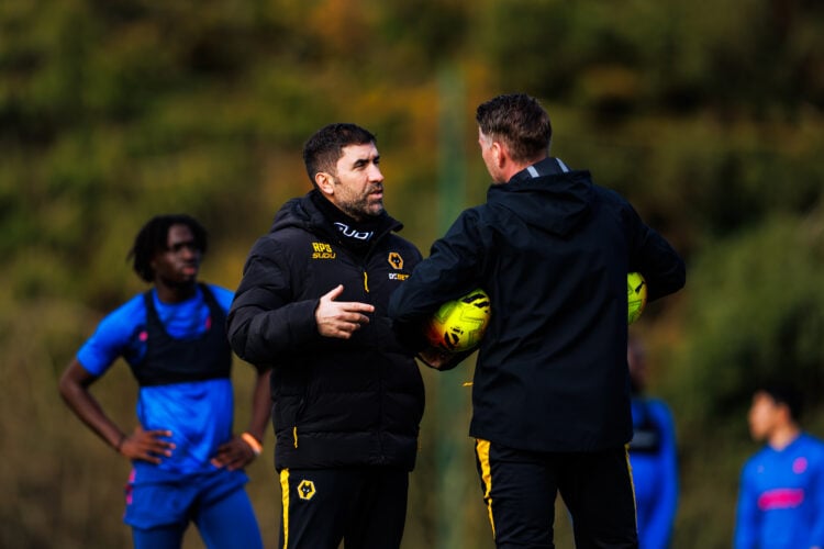 Photo by Brett Patzke - WWFC/Wolves via Getty Images